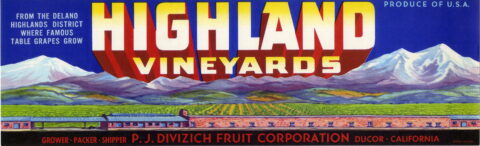 Highland Vineyards